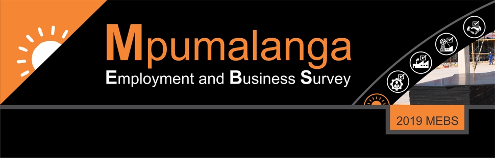 Mpumalanga Employment and Business Survey
